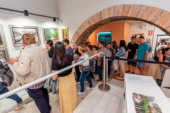 XXX ANIVERSARI L'ÀNIMA DEL PAISATGE - MUSEU D'ALCOVER